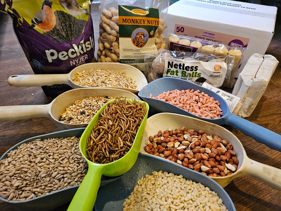 Bird food