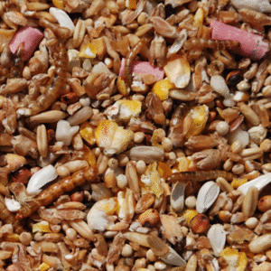 Robin & Songbird Mix