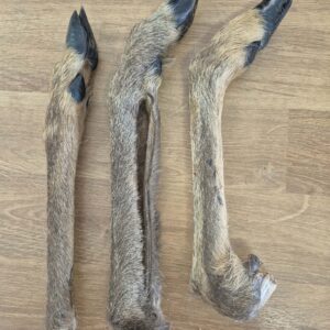 Hairy Venison Leg